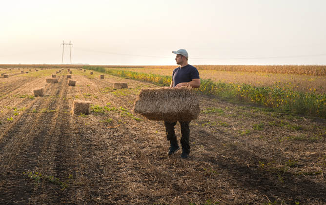 baler twine farmer